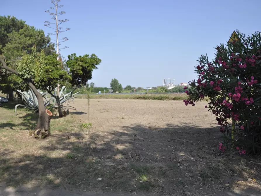 Immagine 4 di Terreno in vendita  a Giugliano In Campania