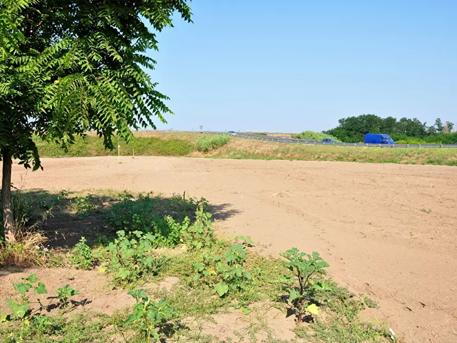 Immagine 3 di Terreno in vendita  a Giugliano In Campania