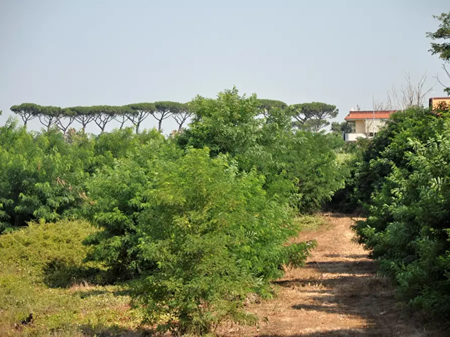 Immagine 7 di Terreno in vendita  a Giugliano In Campania