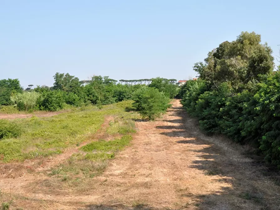 Immagine 6 di Terreno in vendita  a Giugliano In Campania