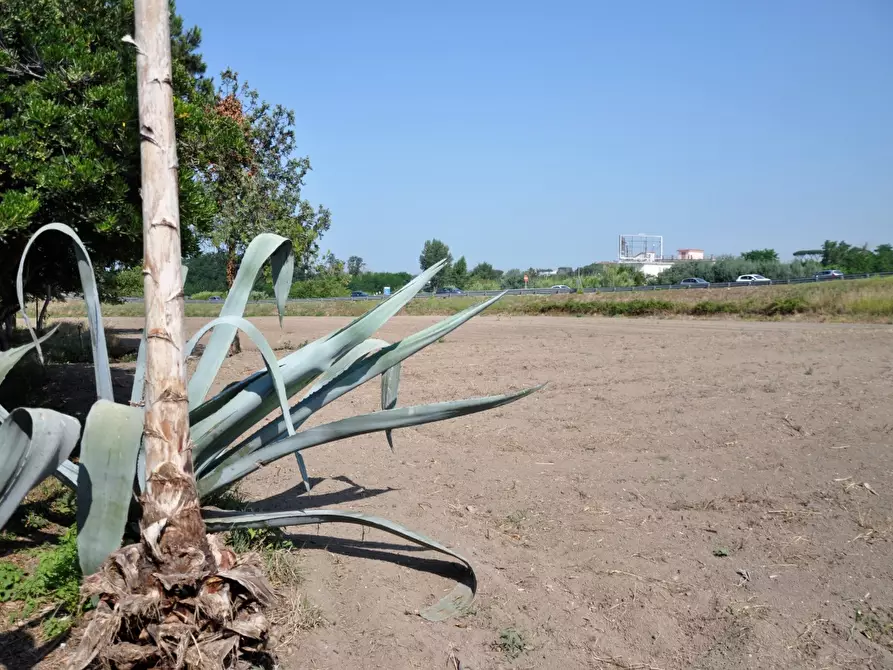 Immagine 5 di Terreno in vendita  a Giugliano In Campania