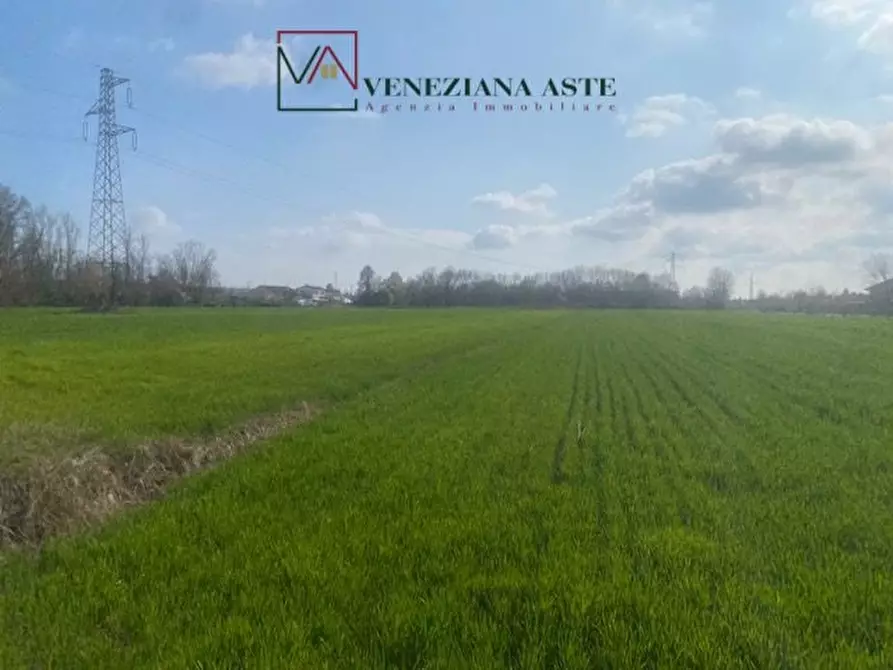 Immagine 2 di Terreno in vendita  a Quarto D'altino