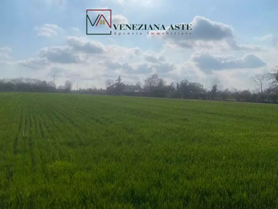 Immagine 3 di Terreno in vendita  a Quarto D'altino