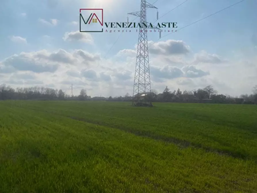Immagine 5 di Terreno in vendita  a Quarto D'altino
