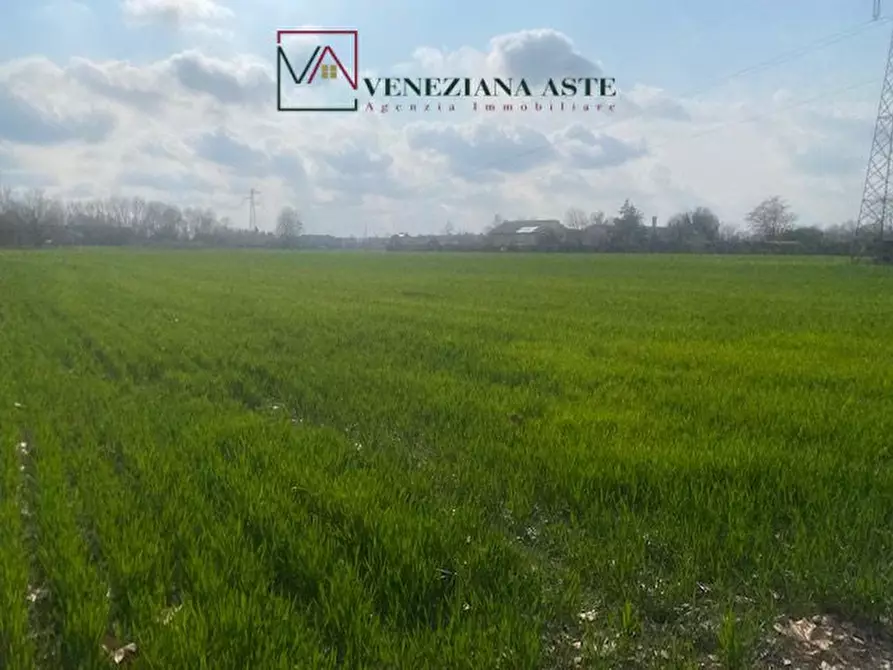 Immagine 6 di Terreno in vendita  a Quarto D'altino