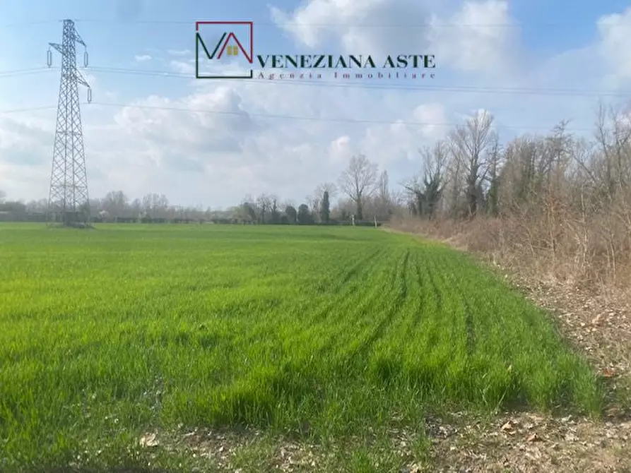 Immagine 7 di Terreno in vendita  a Quarto D'altino