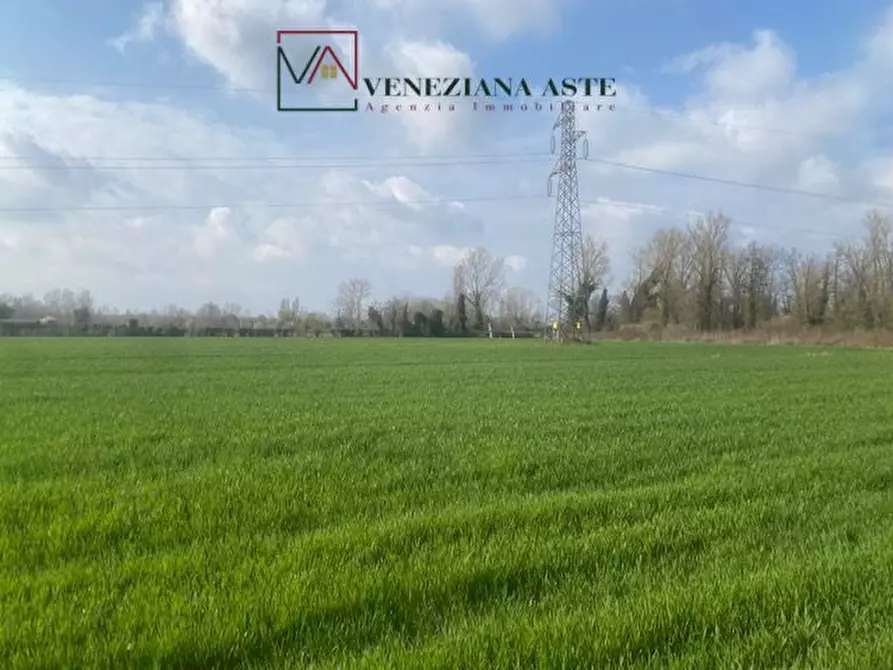 Immagine 8 di Terreno in vendita  a Quarto D'altino