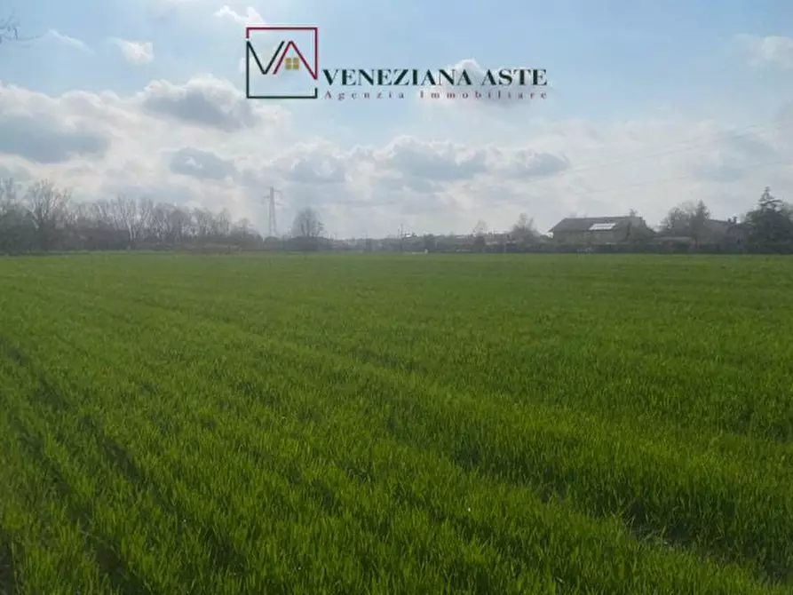 Immagine 9 di Terreno in vendita  a Quarto D'altino