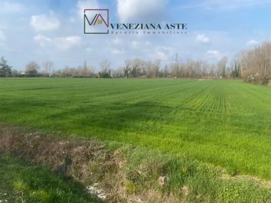 Immagine 10 di Terreno in vendita  a Quarto D'altino