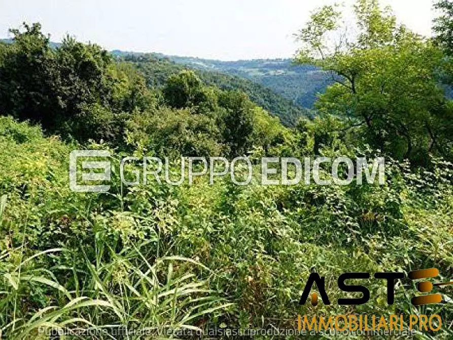 Immagine 2 di Terreno in vendita  a Sovizzo