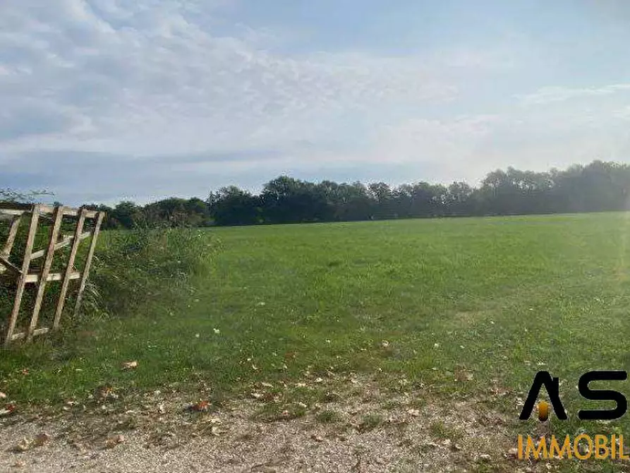 Immagine 2 di Terreno in vendita  snc a Tezze Sul Brenta