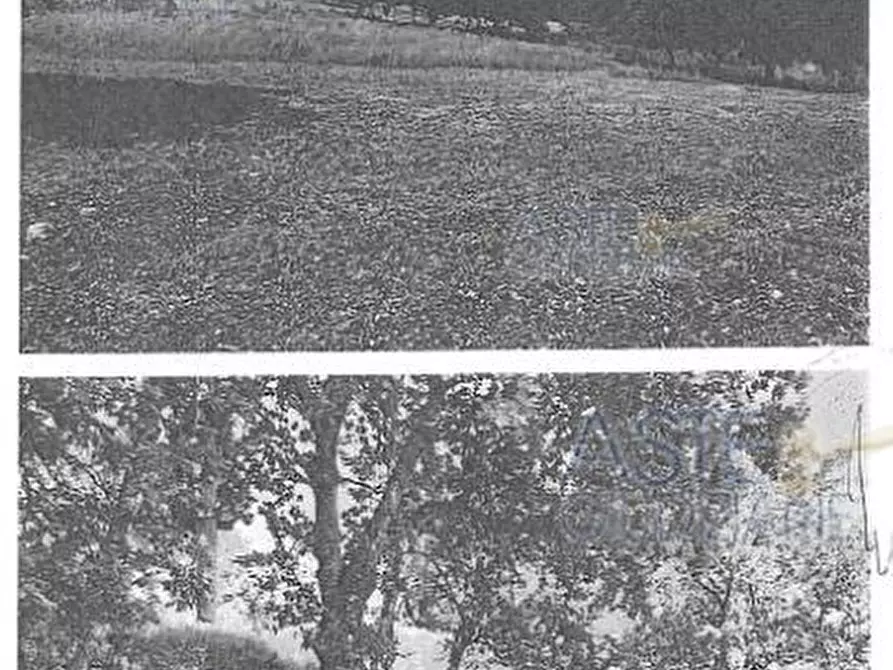 Immagine 1 di Terreno edificabile in vendita  a Formia