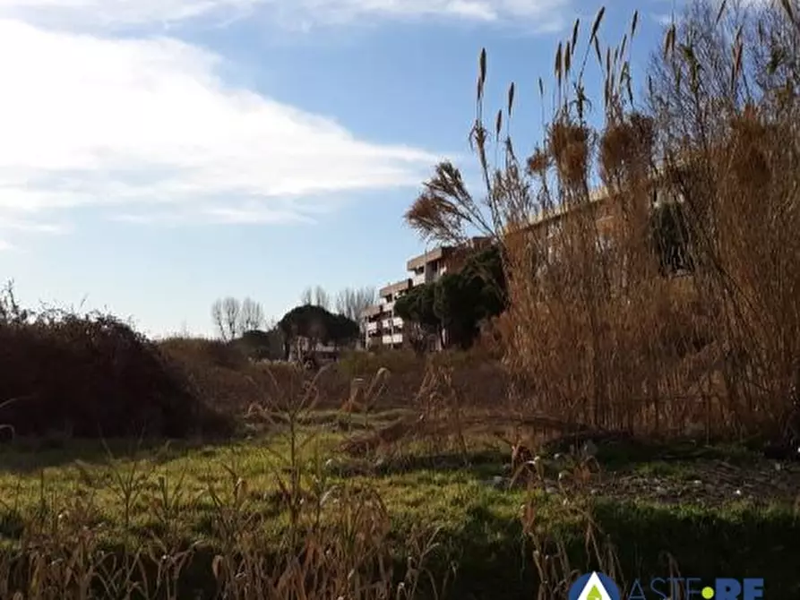 Immagine 1 di Terreno edificabile in vendita  a Viareggio