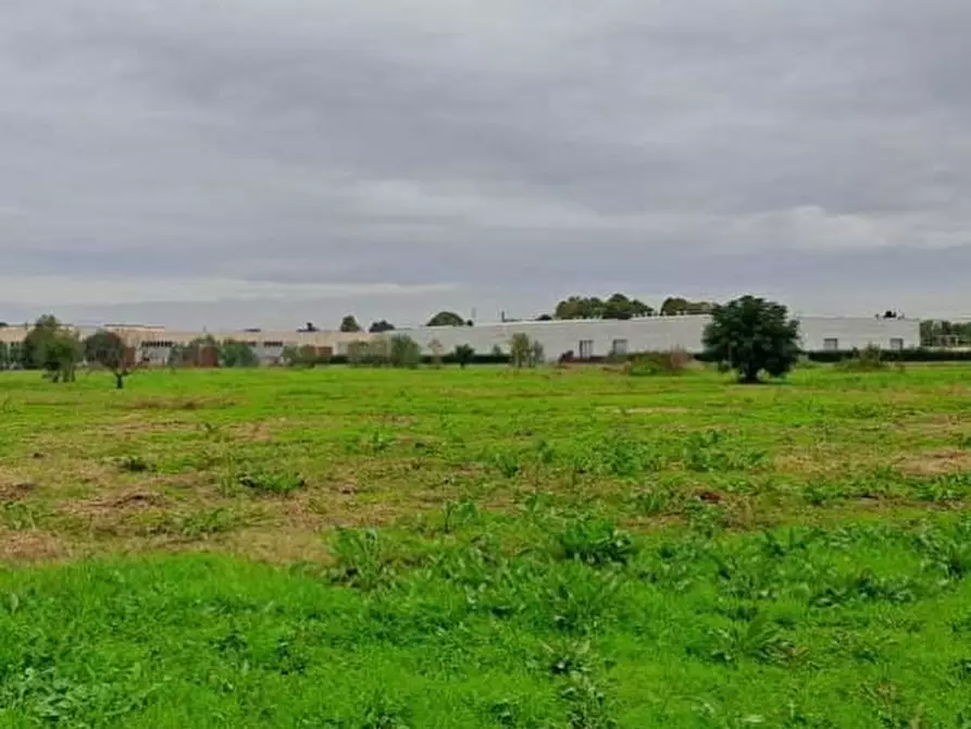 Immagine 1 di Terreno edificabile in vendita  a Abbiategrasso