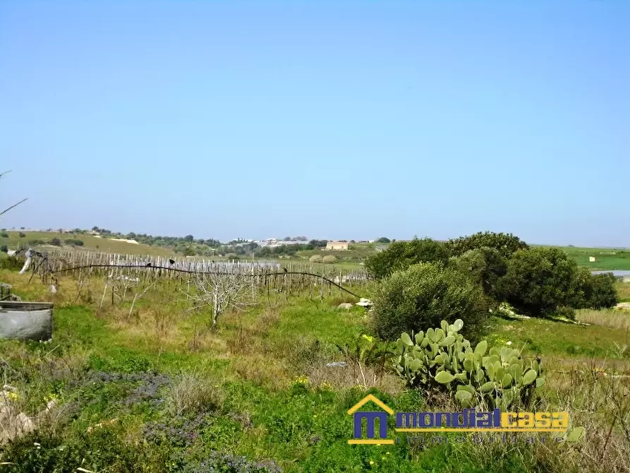 Immagine 2 di Terreno in vendita  a Pachino