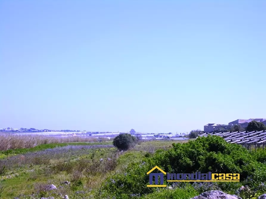 Immagine 3 di Terreno in vendita  a Pachino