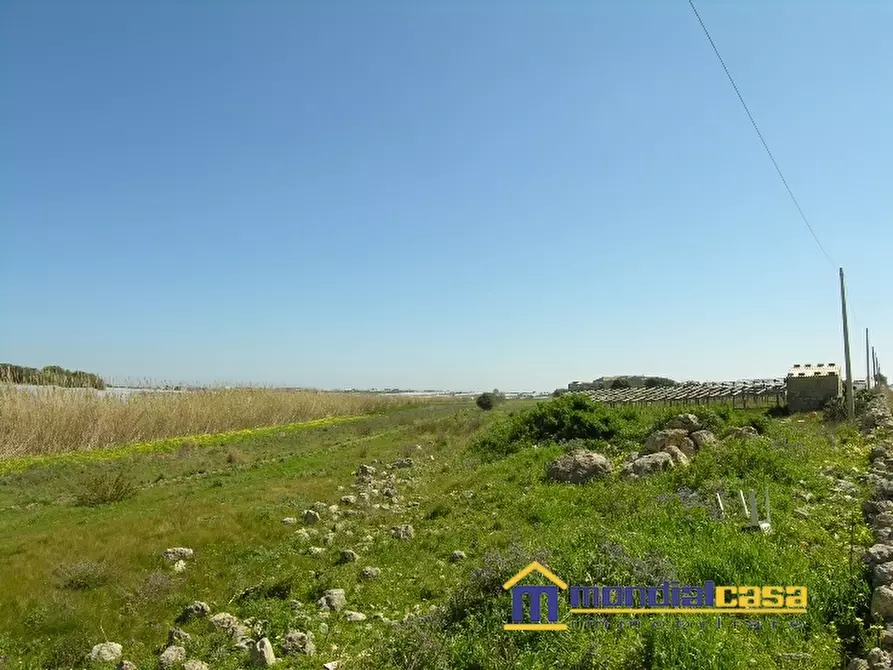 Immagine 4 di Terreno in vendita  a Pachino