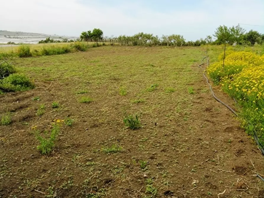 Immagine 9 di Villa in vendita  a Pachino