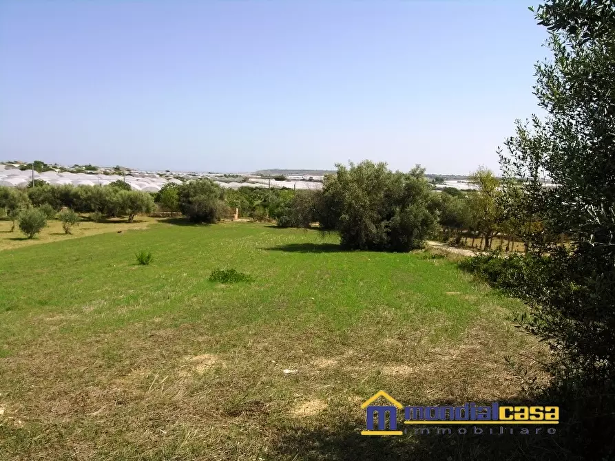 Immagine 6 di Casa indipendente in vendita  a Pachino