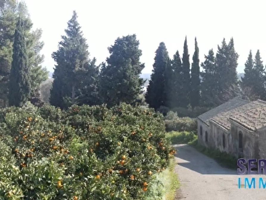 Immagine 9 di Villa in vendita  a Mascali