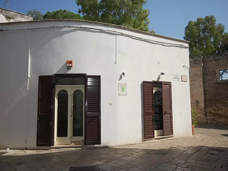 Immagine 1 di Casa indipendente in vendita  a Sternatia