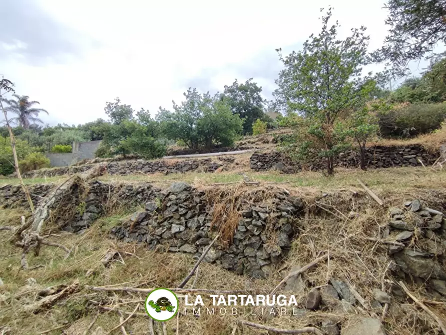 Immagine 4 di Terreno in vendita  a Pagliara