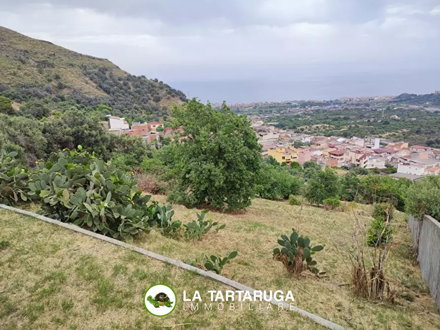 Immagine 3 di Terreno in vendita  a Pagliara