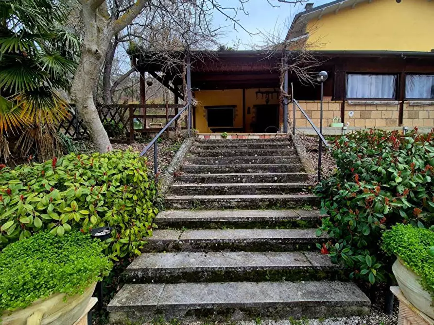 Immagine 7 di Agriturismo in vendita  a Manoppello