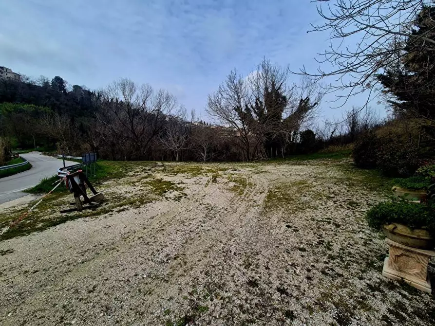 Immagine 6 di Agriturismo in vendita  a Manoppello