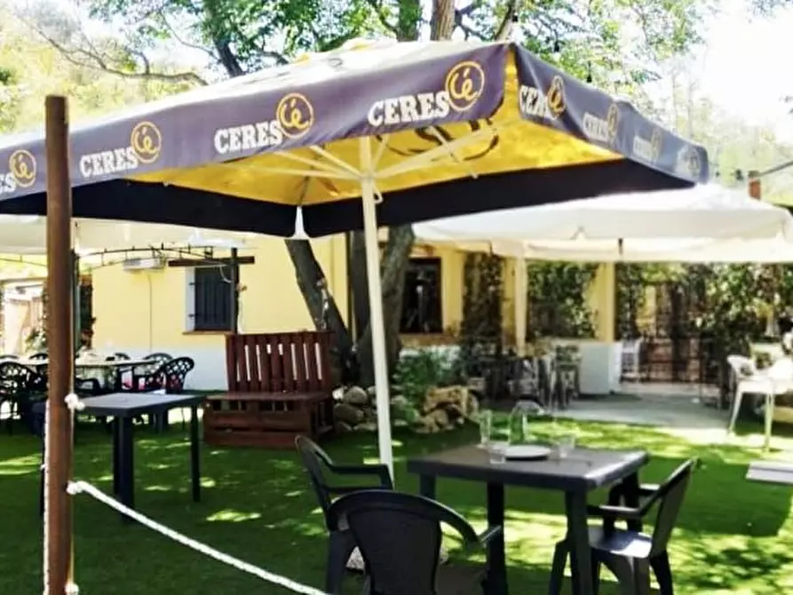 Immagine 9 di Agriturismo in vendita  a Manoppello