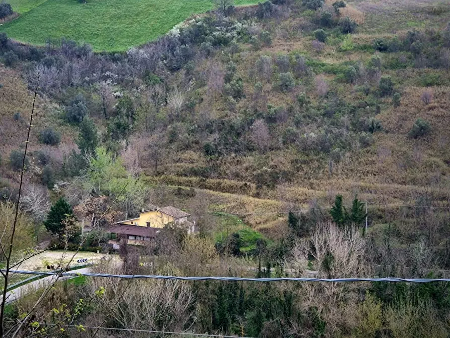 Immagine 4 di Agriturismo in vendita  a Manoppello