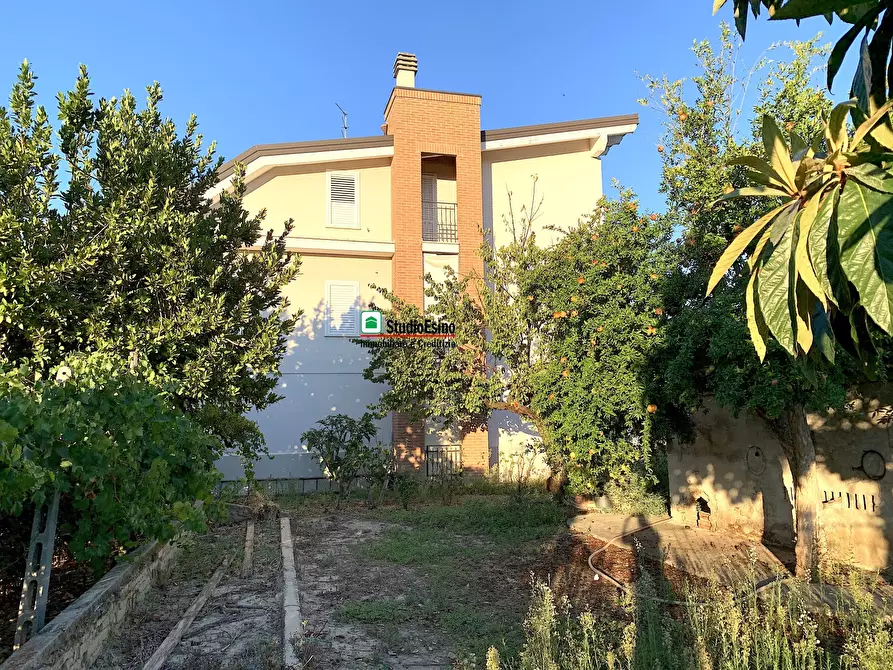 Immagine 4 di Casa indipendente in vendita  66 a Monsampolo Del Tronto