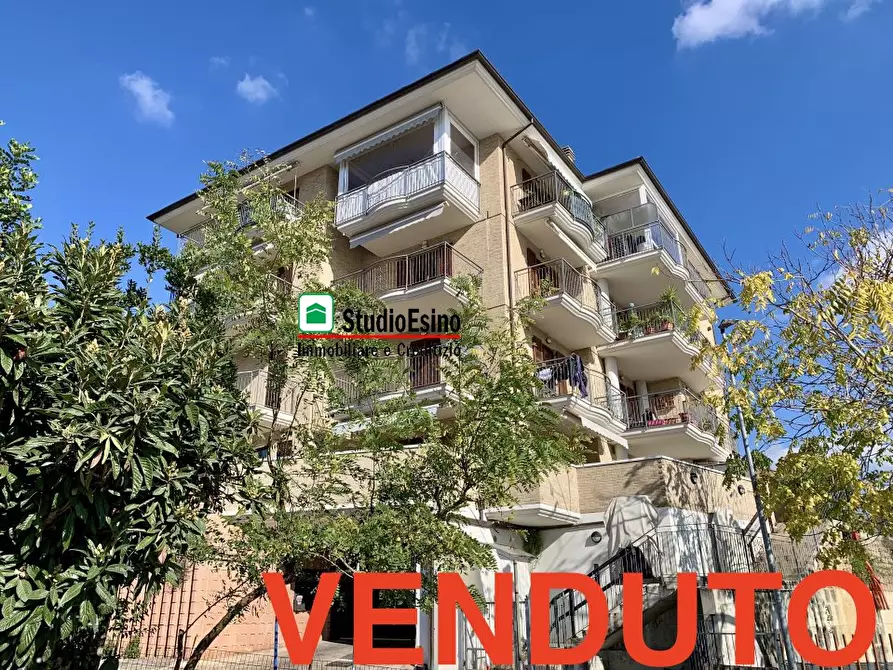 Immagine 1 di Appartamento in vendita  33/d a Monteprandone