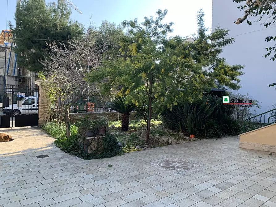 Immagine 7 di Appartamento in vendita  34 a San Benedetto Del Tronto