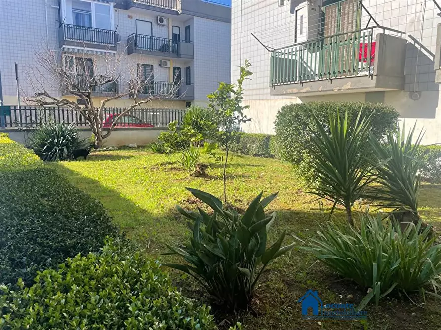 Immagine 2 di Appartamento in vendita  a Cellamare