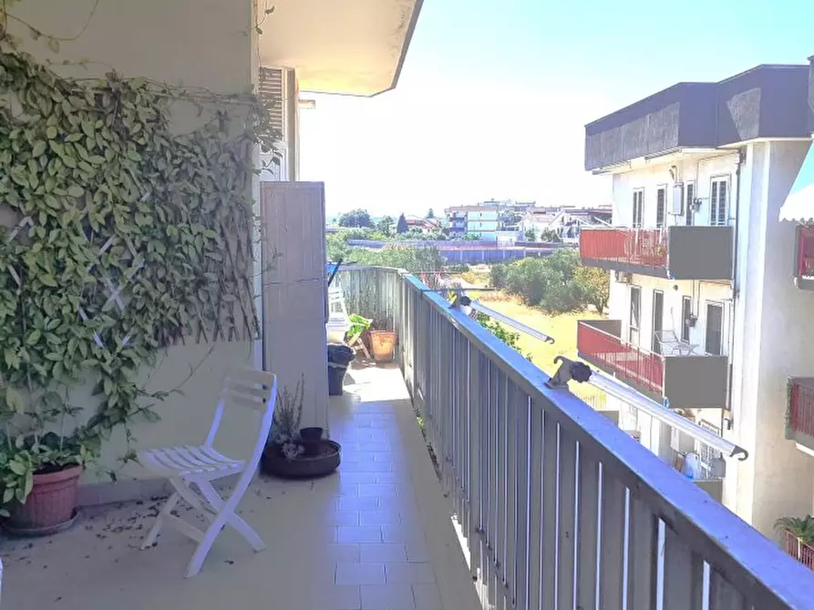 Immagine 7 di Appartamento in vendita  13 a Bitritto