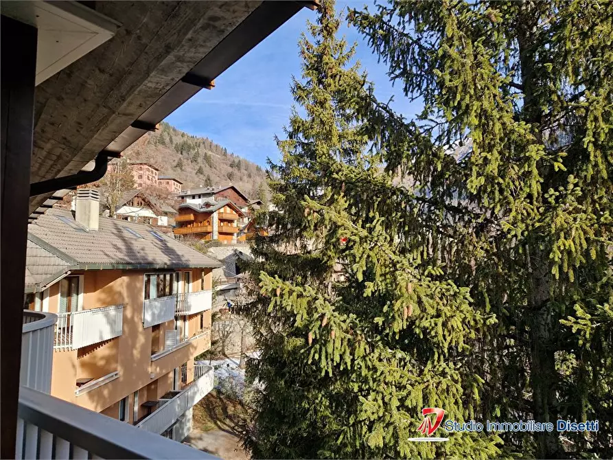 Immagine 9 di Appartamento in vendita  15 a Ponte Di Legno