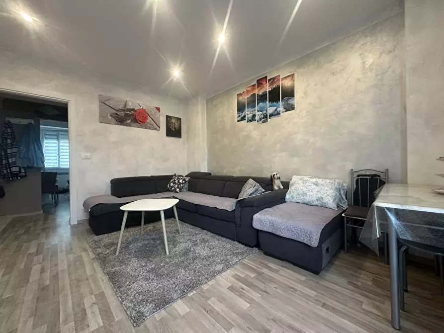 Immagine 7 di Appartamento in vendita  53 a Casoli