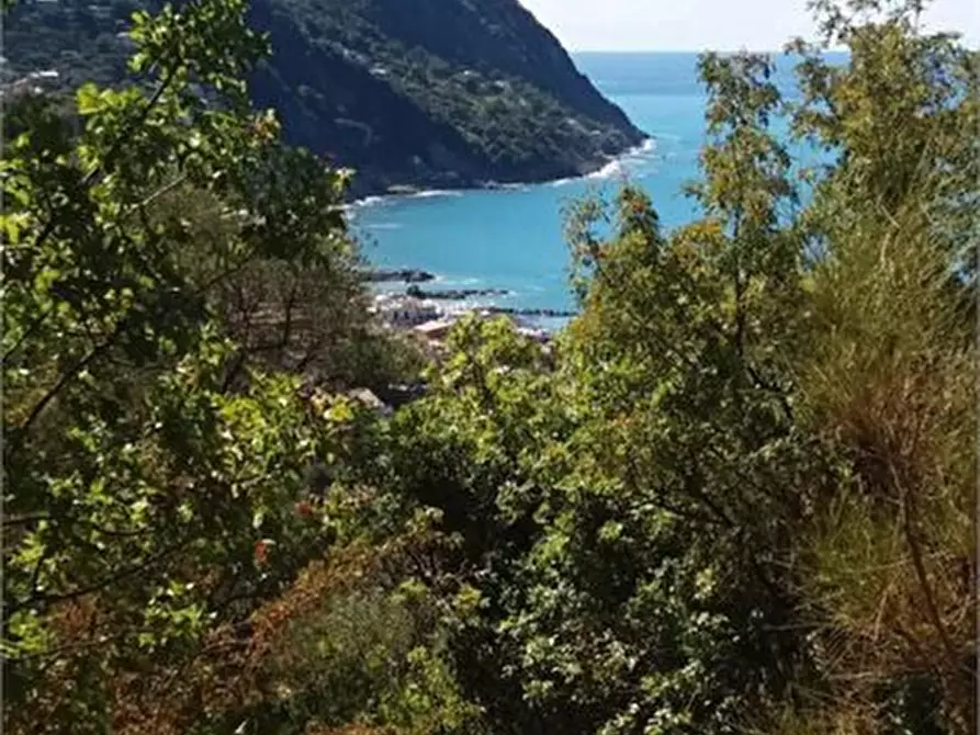 Immagine 10 di Appartamento in vendita  a Moneglia