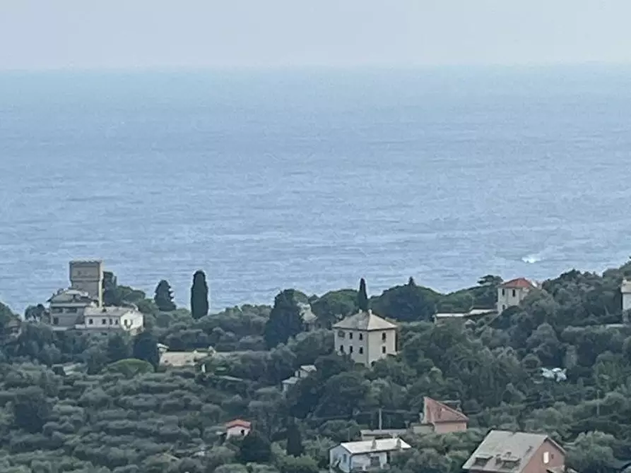 Immagine 2 di Appartamento in vendita  a Rapallo