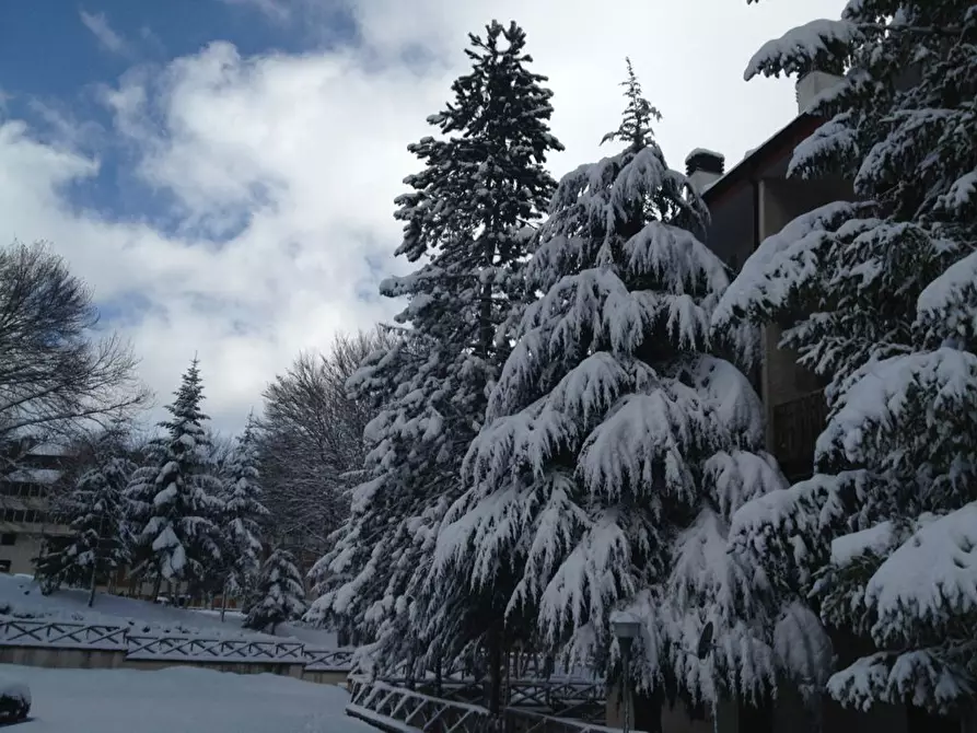 Immagine 4 di Appartamento in vendita  a Campo Di Giove