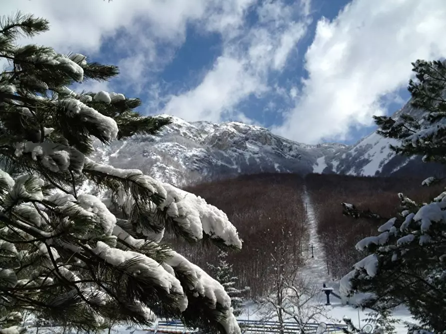 Immagine 5 di Appartamento in vendita  a Campo Di Giove