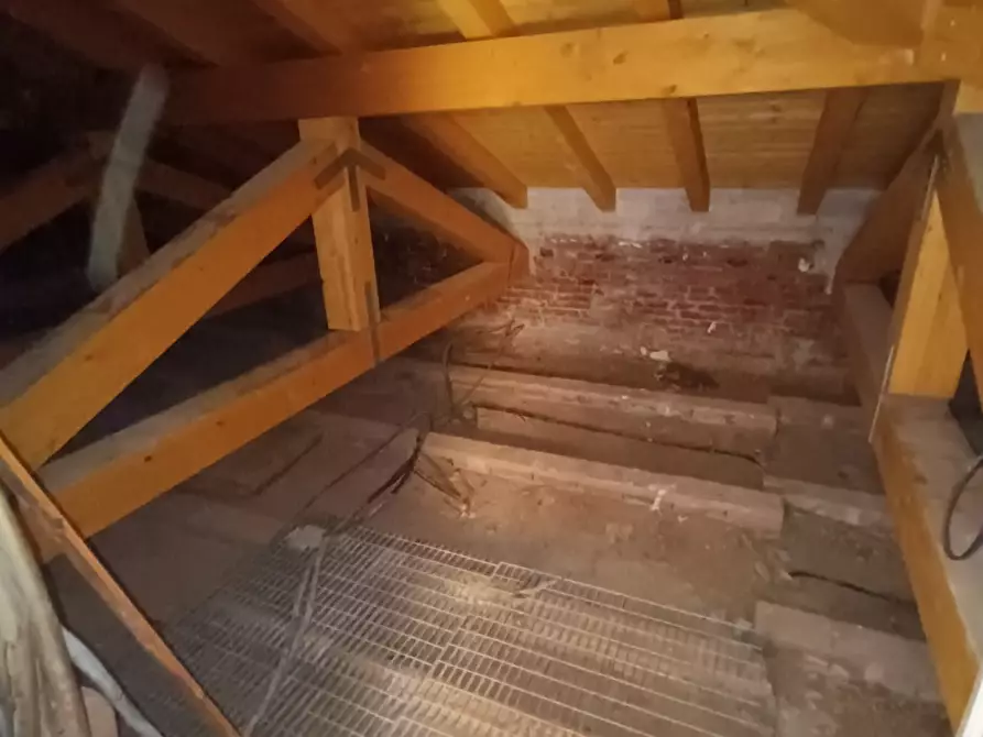 Immagine 7 di Appartamento in vendita  a Rosignano Marittimo