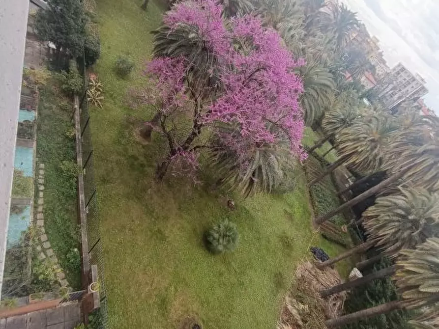 Immagine 3 di Appartamento in vendita  a Livorno