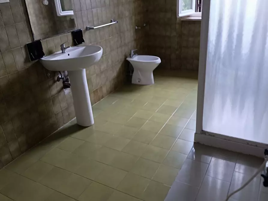 Immagine 5 di Appartamento in vendita  a Rosignano Marittimo