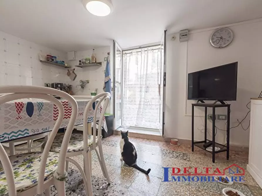 Immagine 3 di Appartamento in vendita  a Rosignano Marittimo