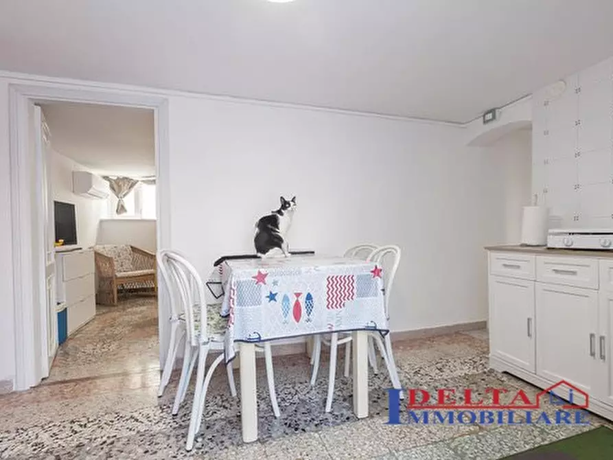 Immagine 5 di Appartamento in vendita  a Rosignano Marittimo