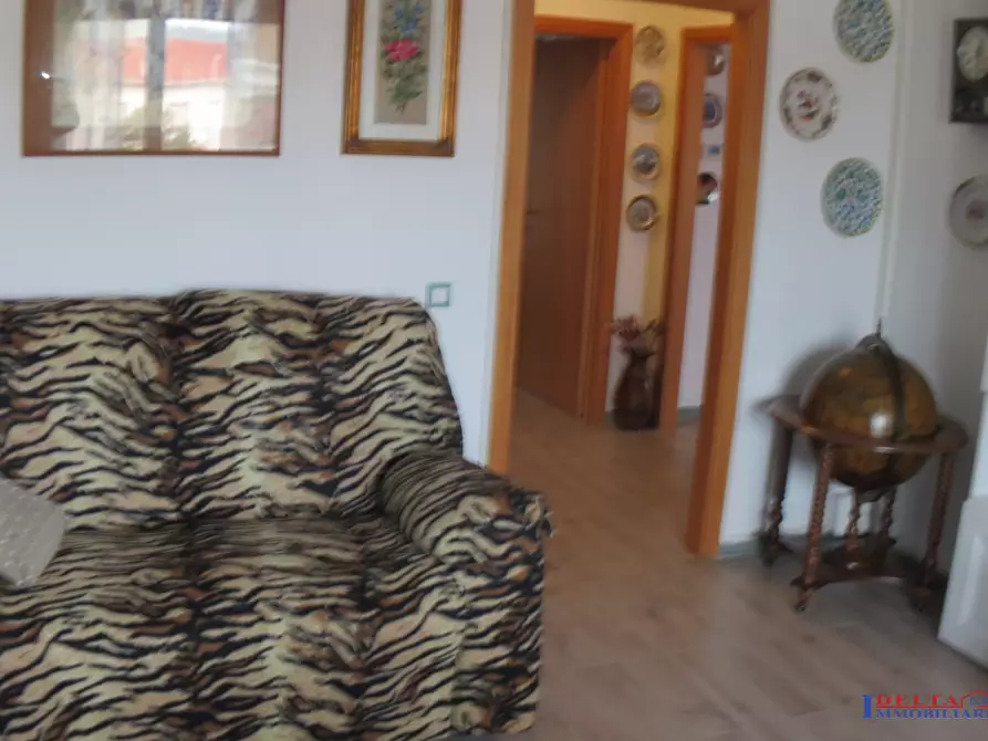 Immagine 4 di Appartamento in vendita  a Rosignano Marittimo