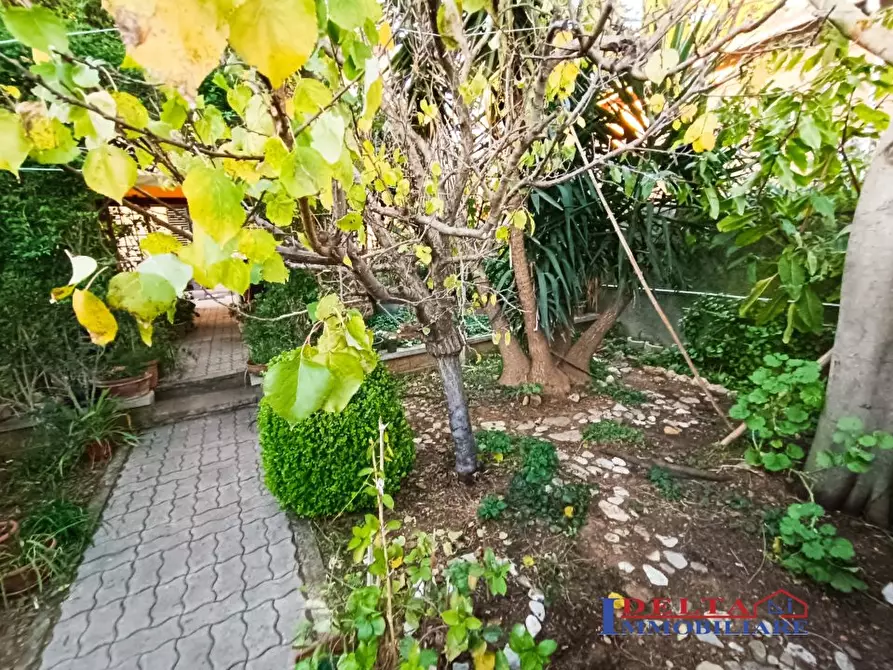 Immagine 10 di Appartamento in vendita  a Rosignano Marittimo