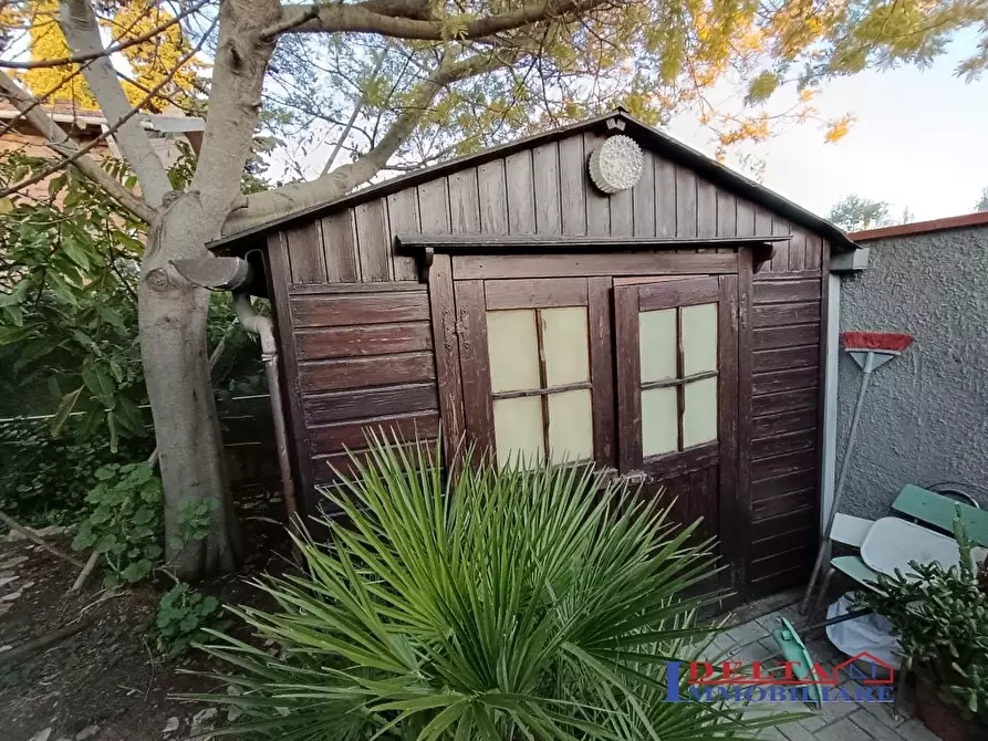 Immagine 8 di Appartamento in vendita  a Rosignano Marittimo